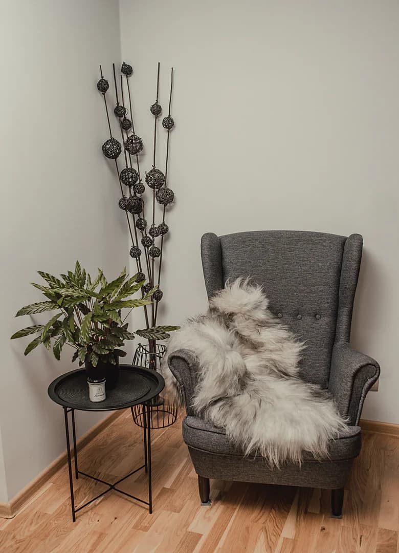 Sheepdog, Island Natural color - color mix