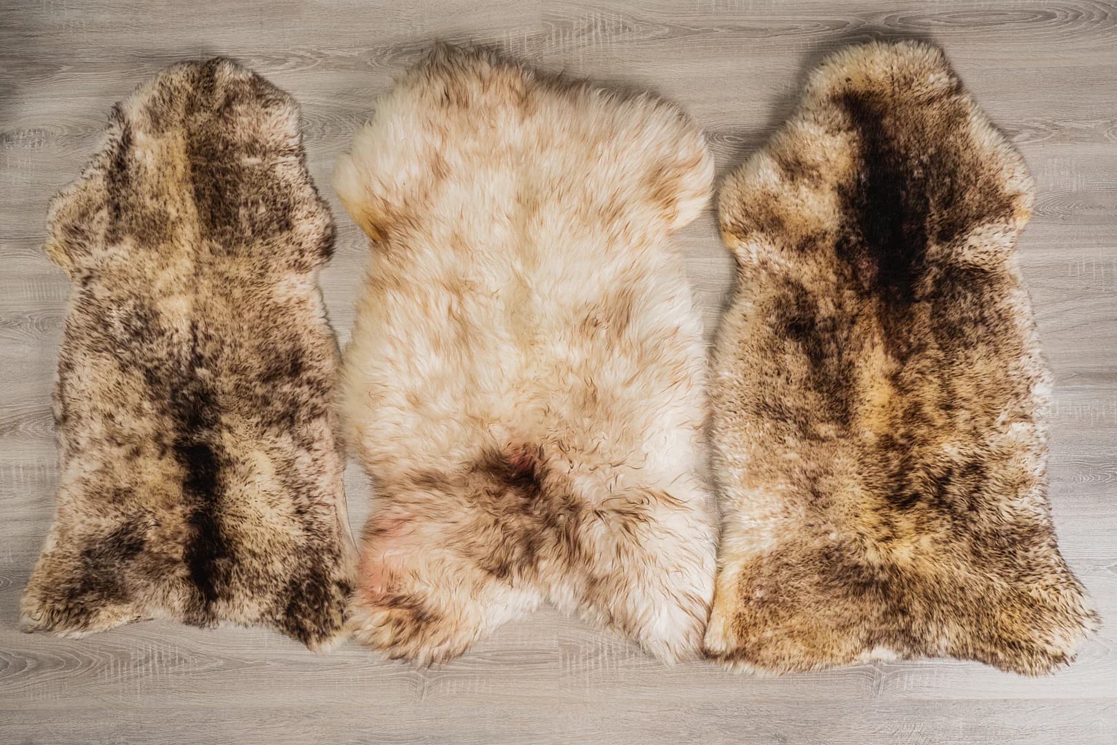 Skóra owcza WYPRZEDAŻ 2 kategoria PROMOCJA