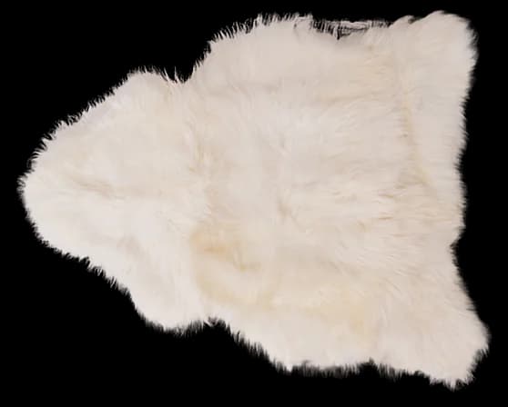 Dywan skóra niedźwiedź skóra owcza naturalna